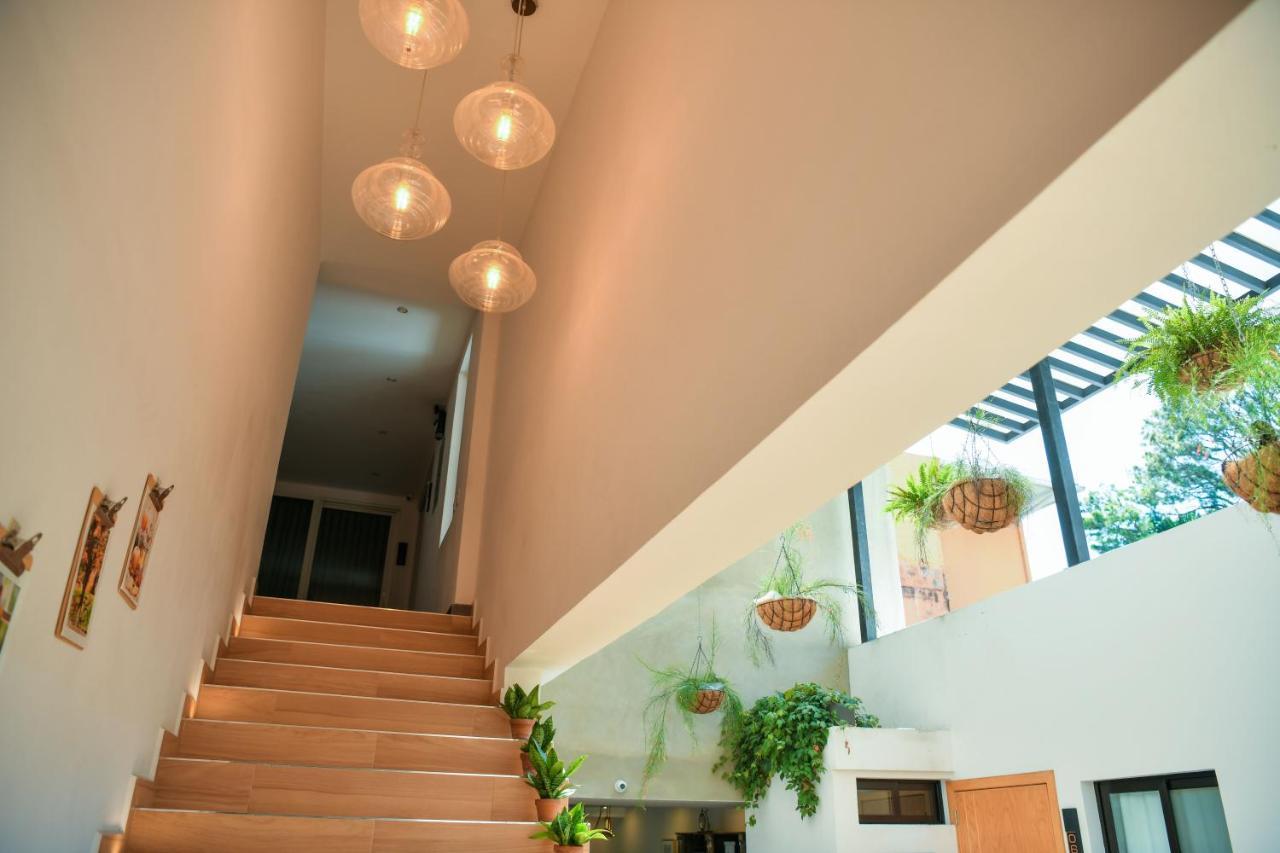 Kaleo Hotel Boutique San Salvador Eksteriør billede