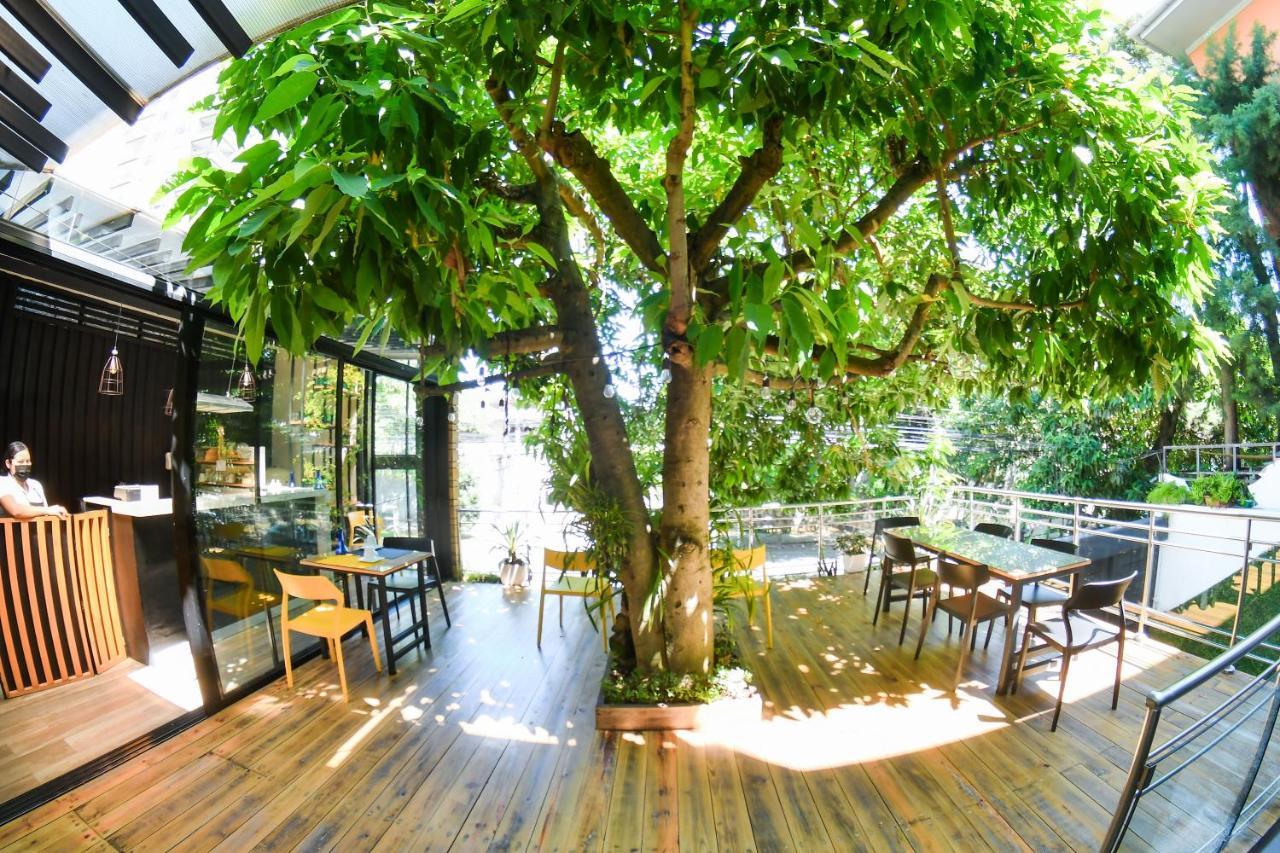 Kaleo Hotel Boutique San Salvador Eksteriør billede