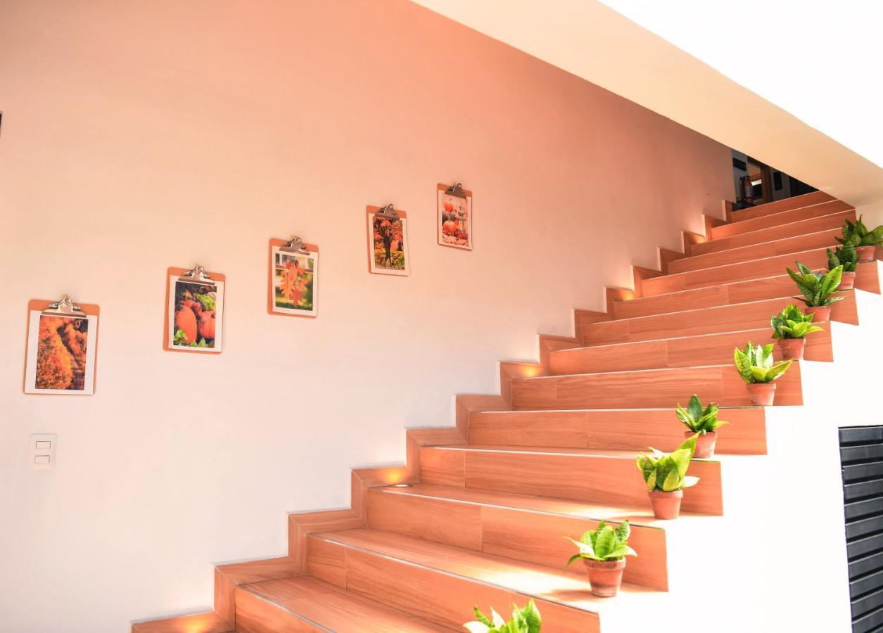 Kaleo Hotel Boutique San Salvador Eksteriør billede