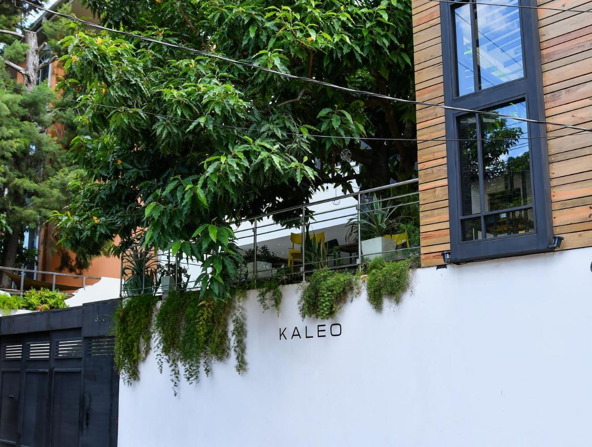 Kaleo Hotel Boutique San Salvador Eksteriør billede